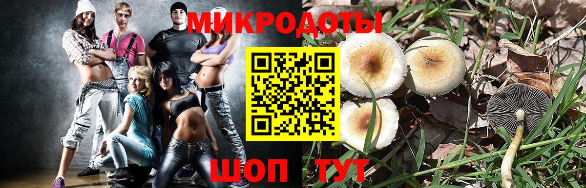 Галлюциногенные грибы GOLDEN TEACHER  Вход с VPN  Псилоцибиновые грибы мухоморы  Оренбург 